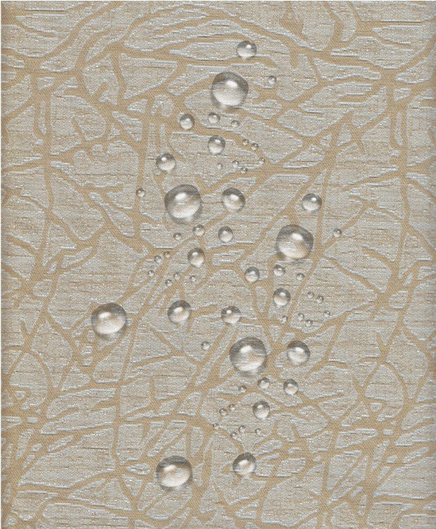 COVER | Salvadivano con PENISOLA - RIO sabbia