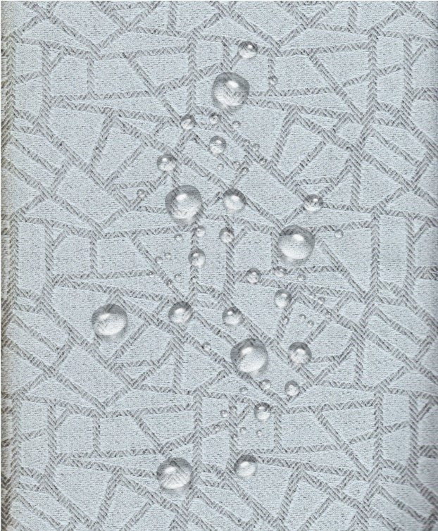 COVER Salvadivano - ROMA grigio